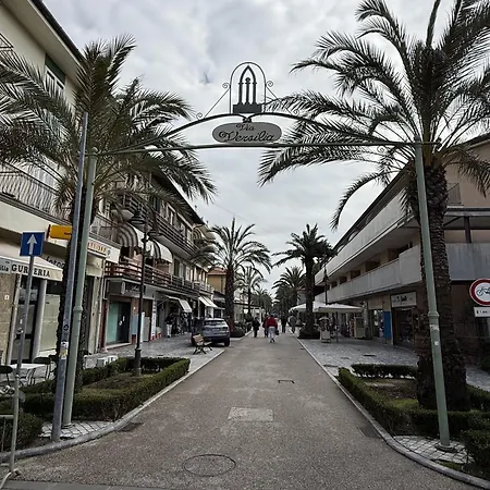 Panciroli Via Versilia Apartment *