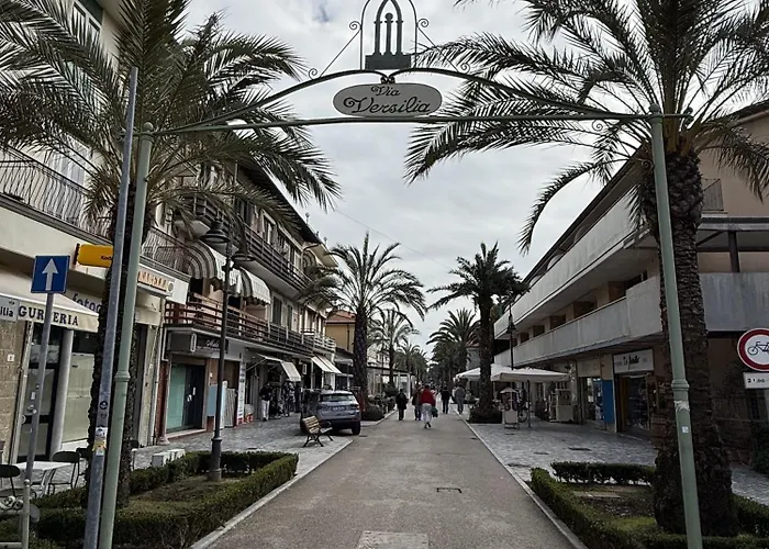 Panciroli Via Versilia Appartamento *